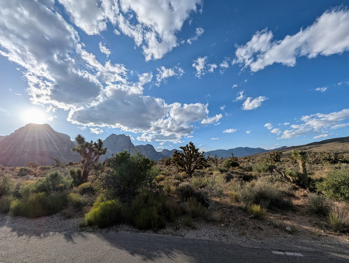 Summer 2025 was amazingly cold in Las Vegas. 

Only 77 days at or above 100°F.

Just 9 days above 110°F.

The highest temperature recorded, on July 14th and again on August 12, was just 112°F.

July was the coolest July in a decade. 🧊