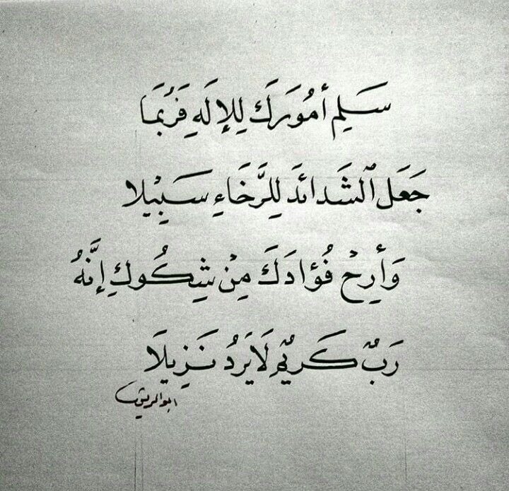 مشاري فهد الشمري tweet media