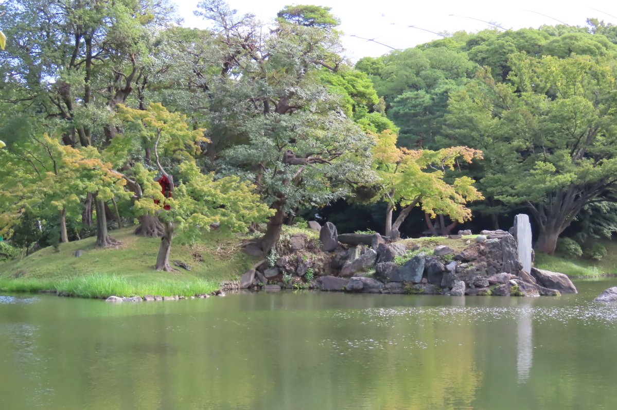 KorakuenGarden's tweet image. 今日はお彼岸の中日。よく晴れてお出かけ日和ですね。
神田上水跡の仲良しカモ二羽、じっと目を閉じて眠たそう。
園内各所に咲く #ヒガンバナ、日差しを浴びてとてもきれいです。
爽やかな仲秋の自然を感じながら散策をお楽しみください。
#小石川後楽園
#文京区
#日本庭園
#彼岸花
#曼殊沙華