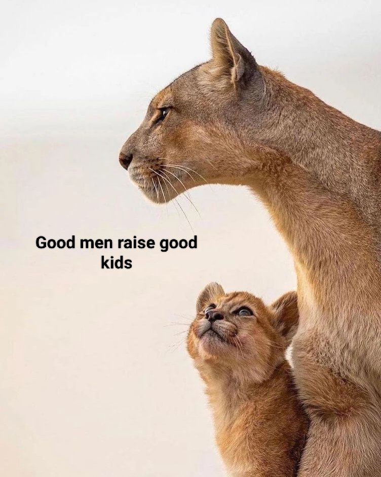 Saudade (@ojobegadang) on Twitter photo 