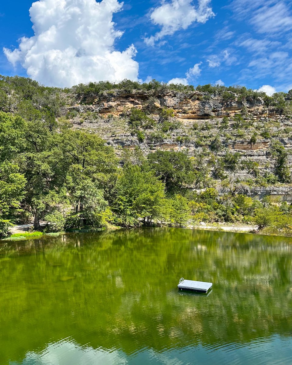 Timothy Hoiland tweet media