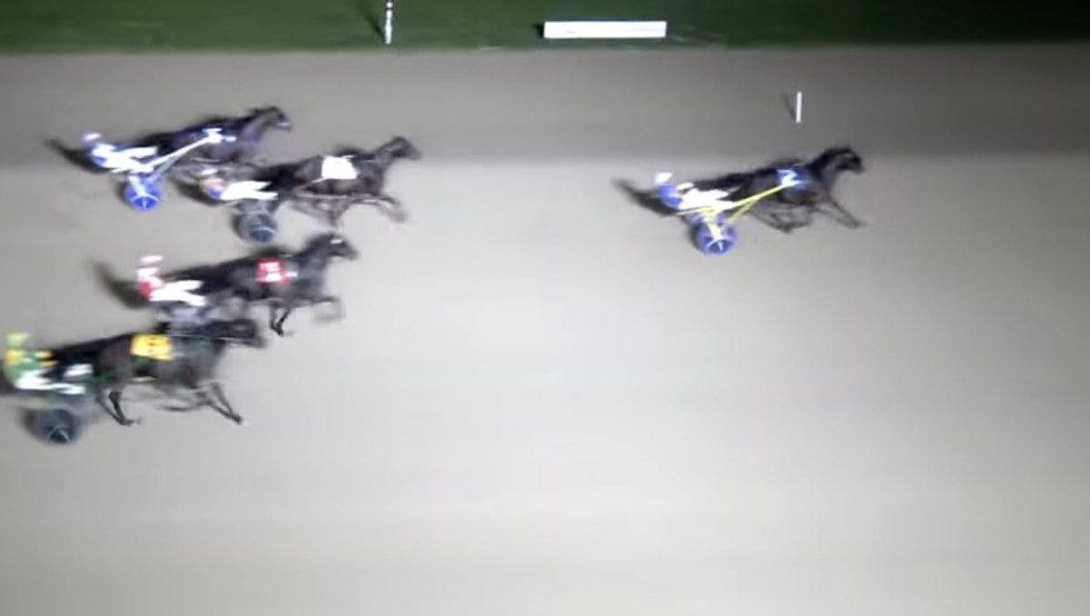 LusiAndAlbert's tweet image. Jonathan Drury guided Oceanside Magic to a second place finish. Way to go, Oshi. Many thanks to the driver and the training team at Anthony Beaton Stable. #homebred #horselover #herdfamily #thebountyofillusionist