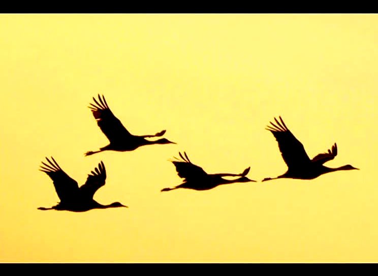 Dylan Biggs tweet media