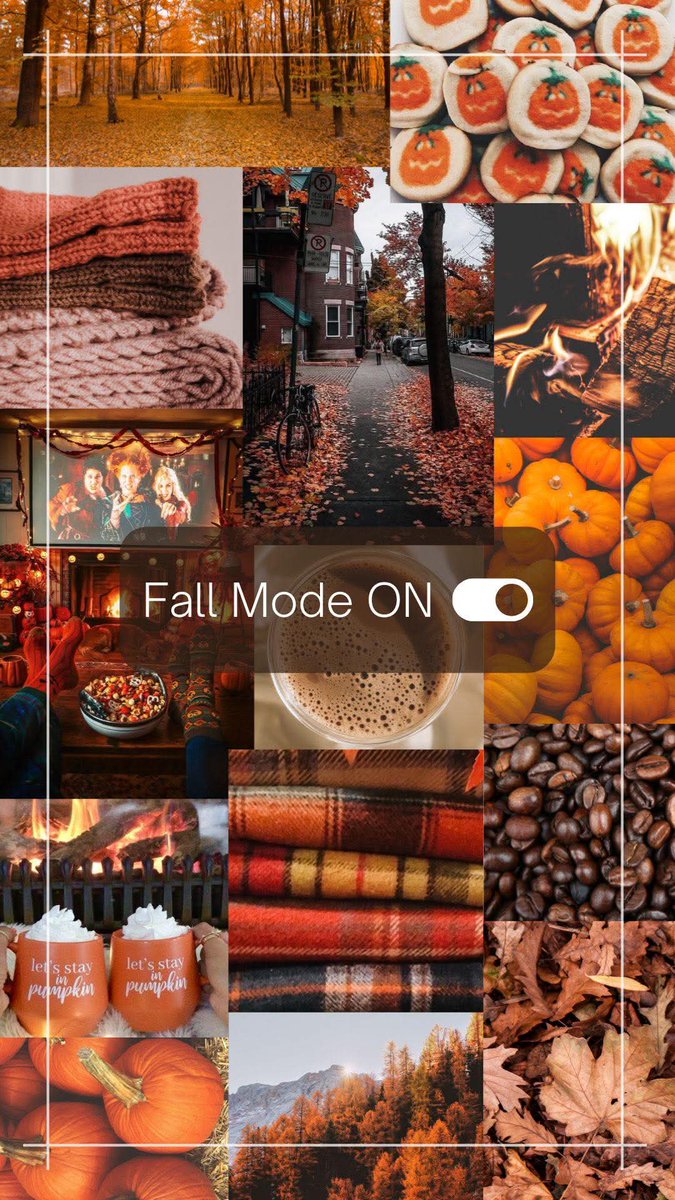 Airfemale14's tweet photo. ๐งก #FirstDayofFall ๐๐ https://t.co/ITavQhItpU