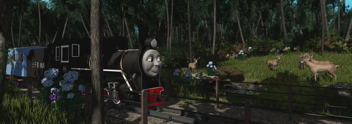 A Peaceful trip through the forest.