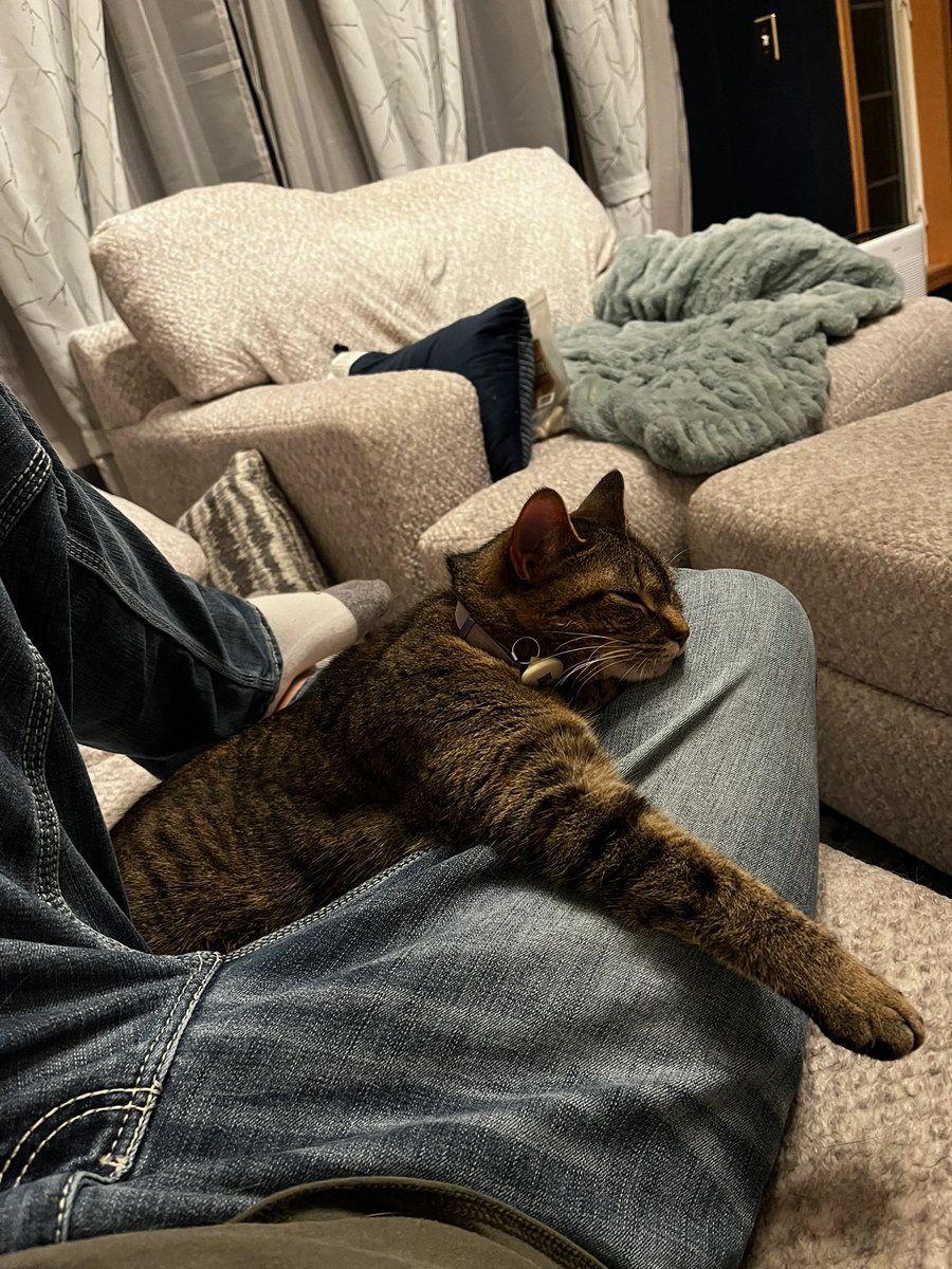 This cat is a whole mood tonight, and I’m here for it.

Can someone get me a beverage? I’m stuck here for a while.