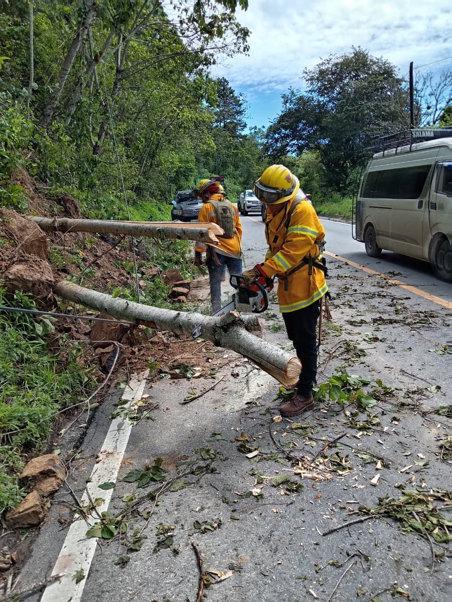 ConredGuatemala's tweet photo. #BajaVerapaz La #UGAM junto a la Brigada de Respuesta Inmediata (BRI) realizó trabajos de limpieza por caída de árbol registrada en el kilómetro 122, CA-14, aldea Las Limas, Salamá, Baja Verapaz.
Fotografías: Sistema CONRED. https://t.co/EcpZNRR6xQ