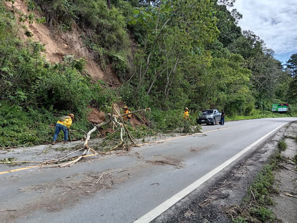 ConredGuatemala's tweet photo. #BajaVerapaz La #UGAM junto a la Brigada de Respuesta Inmediata (BRI) realizó trabajos de limpieza por caída de árbol registrada en el kilómetro 122, CA-14, aldea Las Limas, Salamá, Baja Verapaz.
Fotografías: Sistema CONRED. https://t.co/EcpZNRR6xQ