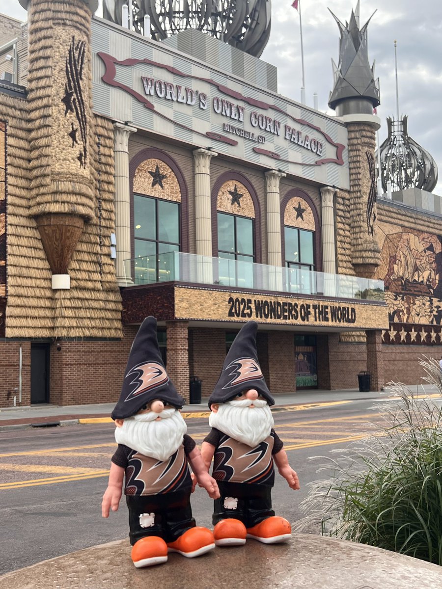 Tinkmf's tweet photo. #FlyTogether https://t.co/rqC5suzZU5