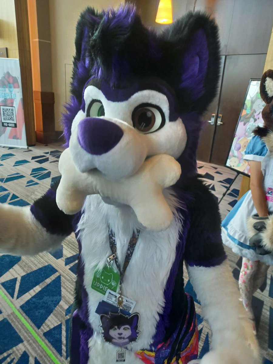 VincentOblivion's tweet photo. I got a bone for #InternationalHuskyDay 
I am a happy doggo :3

🧵@WildDogWorks https://t.co/efRMfBOuZ4