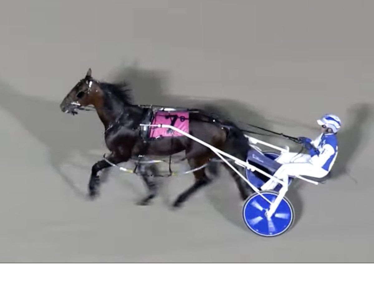 LusiAndAlbert's tweet image. MAGICAL ARTHUR came from last to finish an easy fourth against a tough field. Driver S. Fillion and Magical Arthur were at full steam down the stretch but ran out of room. Way to go, Arthur from a tough post. Thanks to the team at Anthony Beaton Stable. #homebred #herdfamily