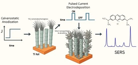 Plasmonicos's tweet photo. "Current Density Optimization for SERS Substrates Using Galvanostatically Anodized TiO2 Nanostructures Decorated with Pulsed-Electrodeposited Silver Dendrites"

https://t.co/uNoVti8GTE https://t.co/87DPBNrVI9