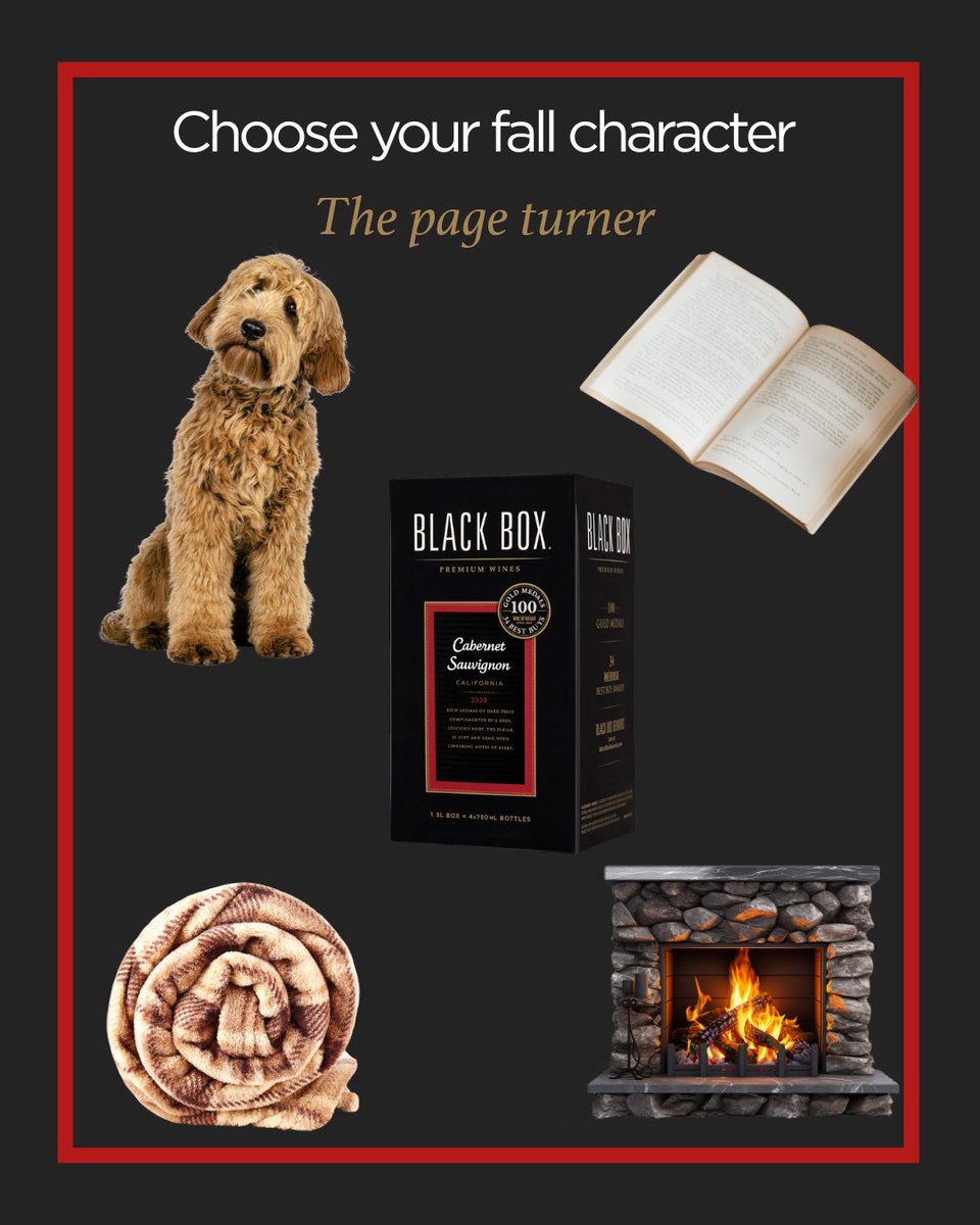 blackboxwines's tweet photo. Which fall character represents you? Let us know 🍂🍷 https://t.co/DMru1Usv87