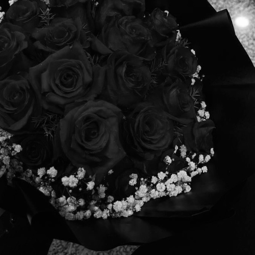 Addicted2Arisa's tweet photo. I just received Flowers 💐 from Anonymous via Throne. Good boy! https://t.co/2CohyI1RyE #Wishlist #Throne https://t.co/IWotMra4Hv