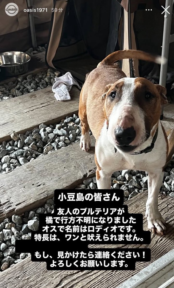 uniberry0512's tweet image. この子にピンときたら、土庄OASISさんへ！！
☎️0879-62-2495