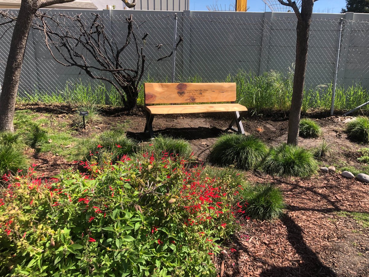 Thrilled to support our Community Stewardship Grantees! Big shout-out to ForestR 🌱 and Boy Scout Troop 722 for transforming a patch of dirt into Sage Park, a vibrant native garden and educational space at the Castro Valley Public Library.📚
cleanwaterprogram.org/forestr-sage-p…