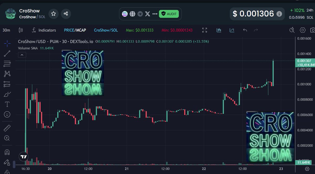 BenCryptoShow's tweet image. $CROSHOW getting some green candles on this Monday evening

$1.3M mc, up big on day (when market is down)

Whales are starting to ape in... give #CROSHOW a look! 👀