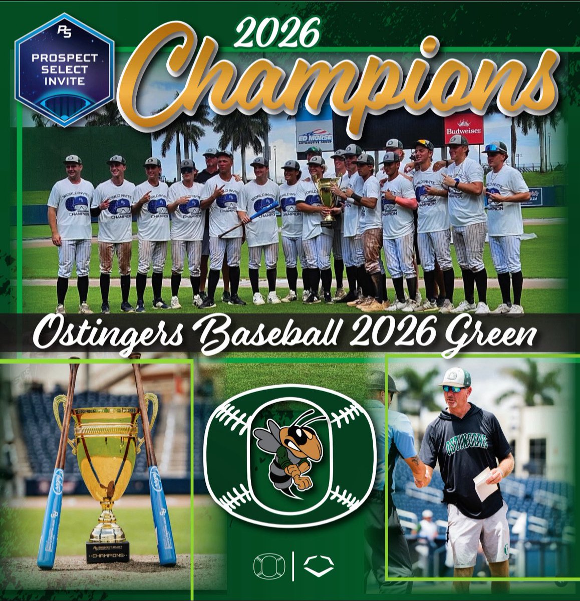 Ostingers Baseball tweet media