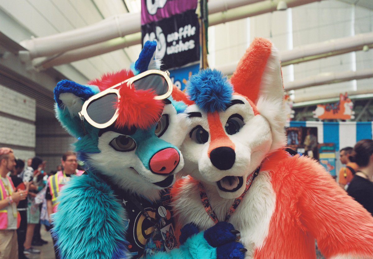 fuzzballsoren's tweet photo. Happy #InternationalHuskyDay from these two goobers! 

🐕: @slush_husky 
📷: @DakotaAstroWolf 
📍: @anthrocon https://t.co/CLxsMf8HuF