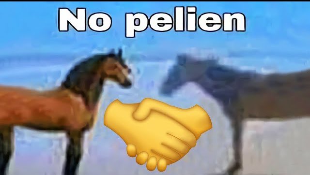 no pelien 🤝