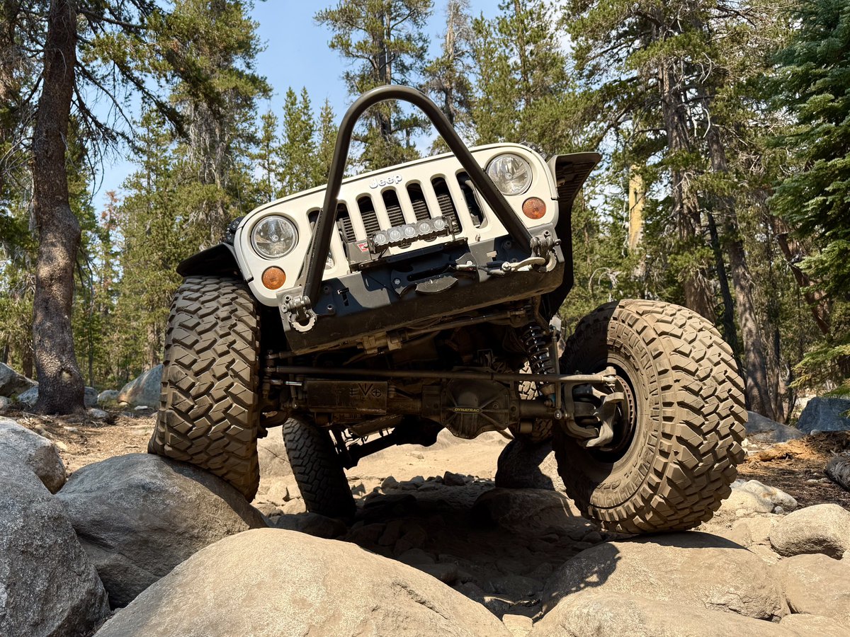 WAYALIFE tweet media