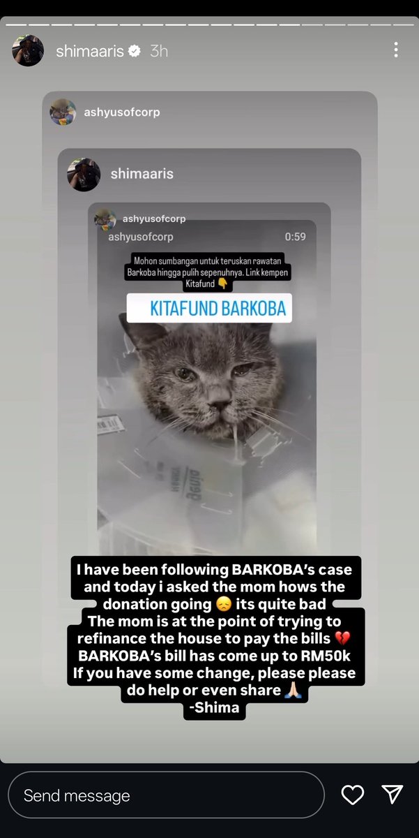 🆘 Guys, i mohon ramai² please help share or donate

The vet bill is overwhelming. Besar dugaan kpd Barkoba dan owner. But they're willing to do anything so that he can get treated

I saw from ig kak shima, the donation is very very slow. Pls share and pray for Barkoba guys 🙏🏼