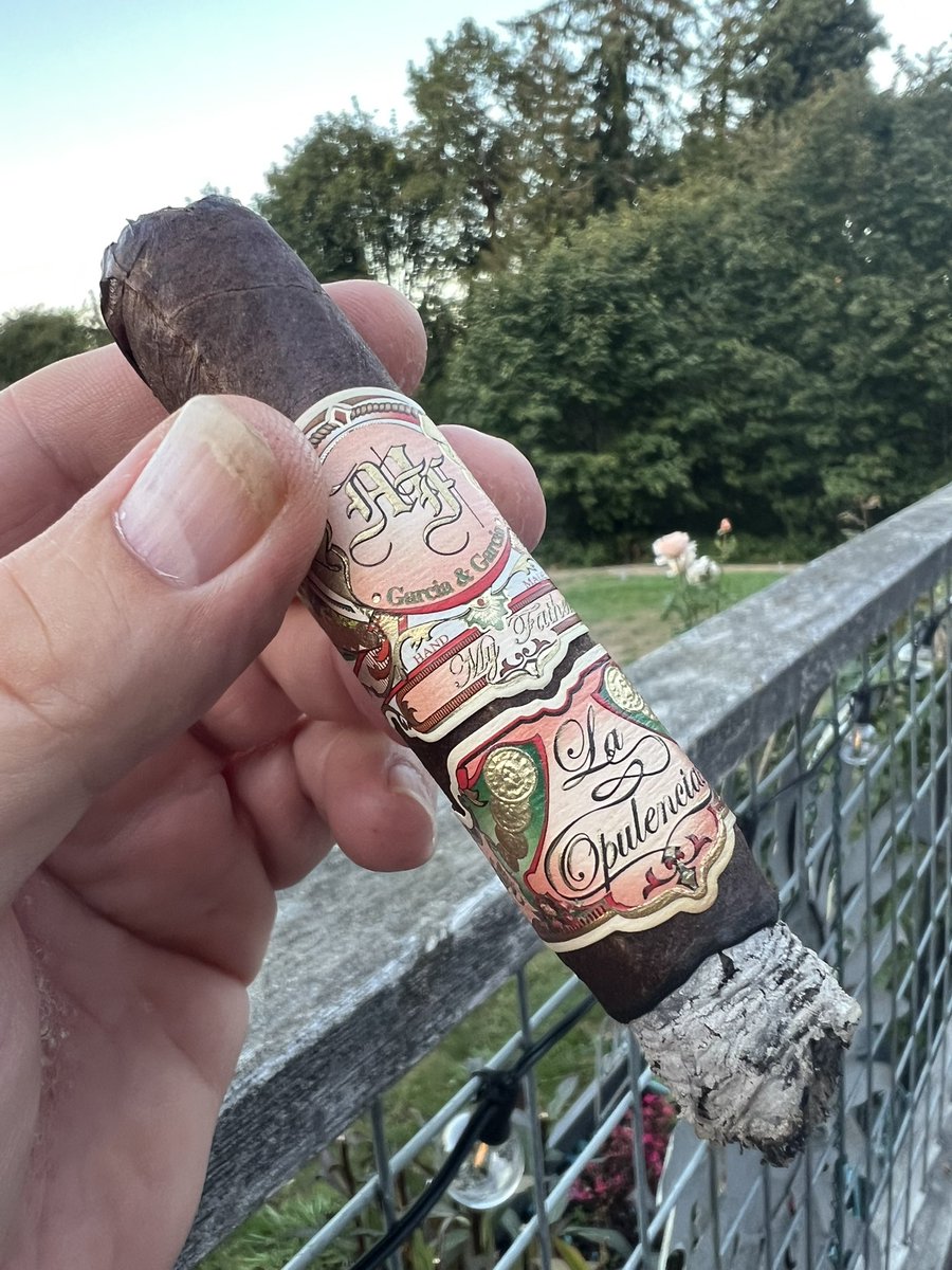 Ed-e Higgins is smoking My Father La Opulencia. Rated with thumbs up! dojoverse.com/news-feed/p/70…