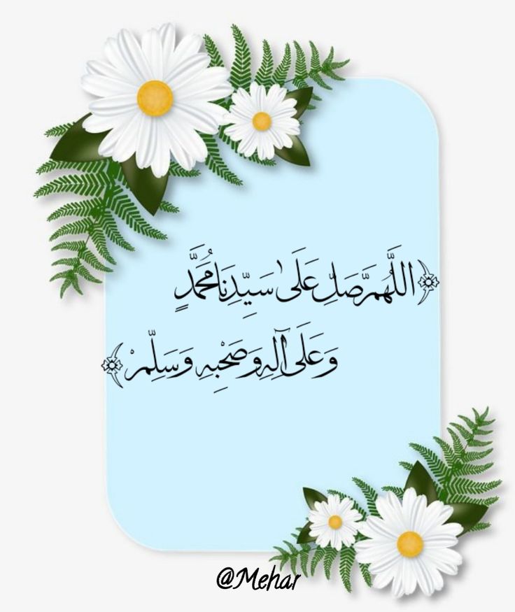 Saima butt tweet media