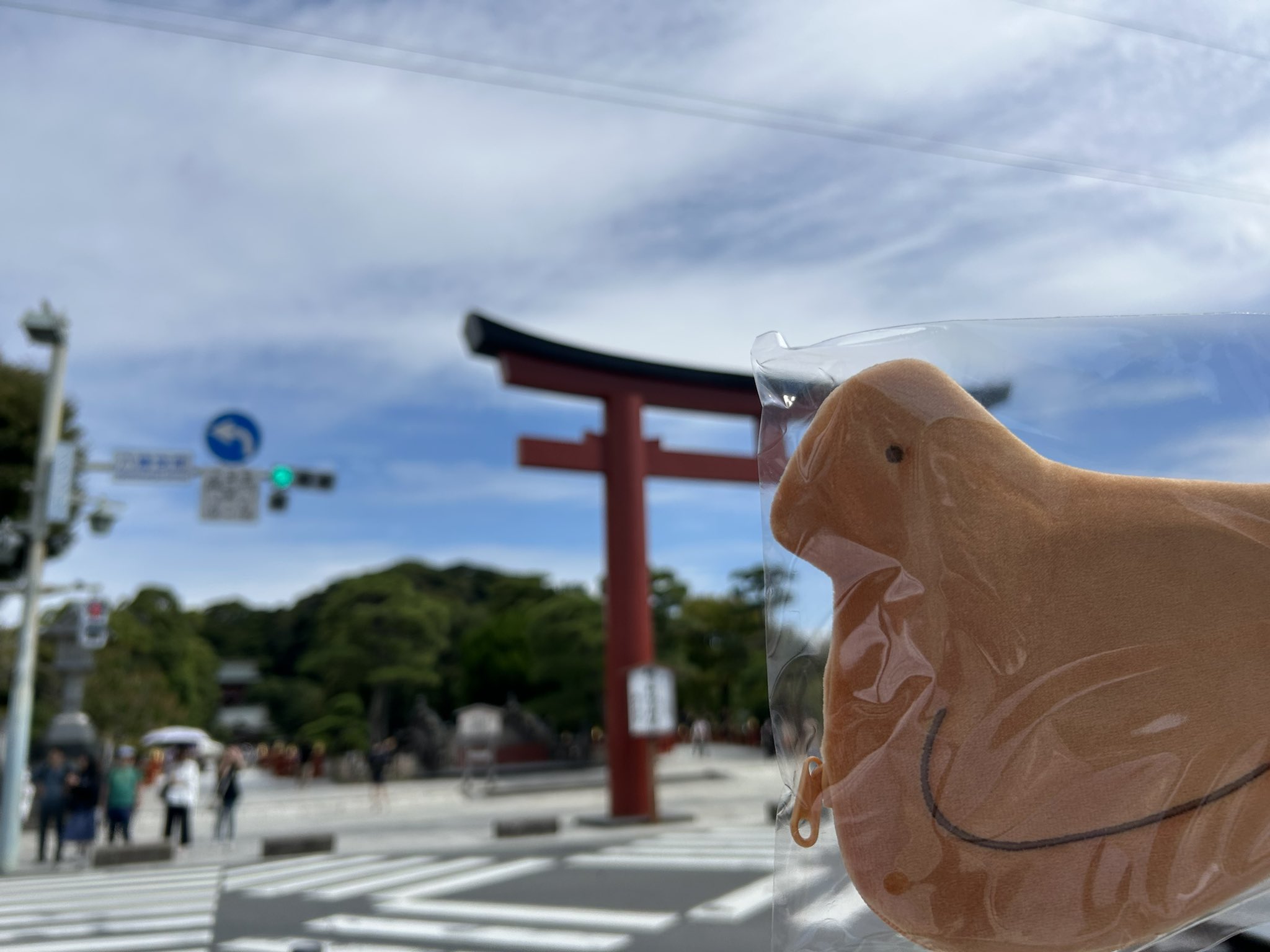 鳩ぽっぽ ♪鳩 はと (ぽっぽっぽ はとぽっぽ) - YouTube