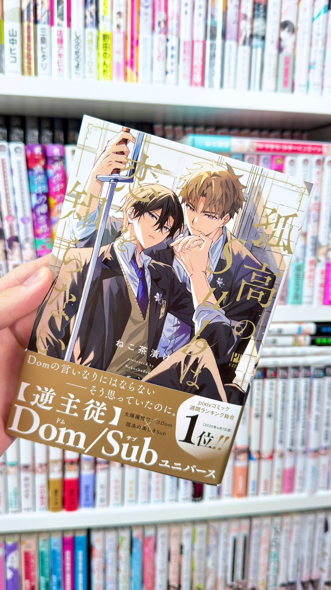 あこたけ様✩⋆確認専用ページ ヒミツの王子様☆（2） (ちゃおコミックス)