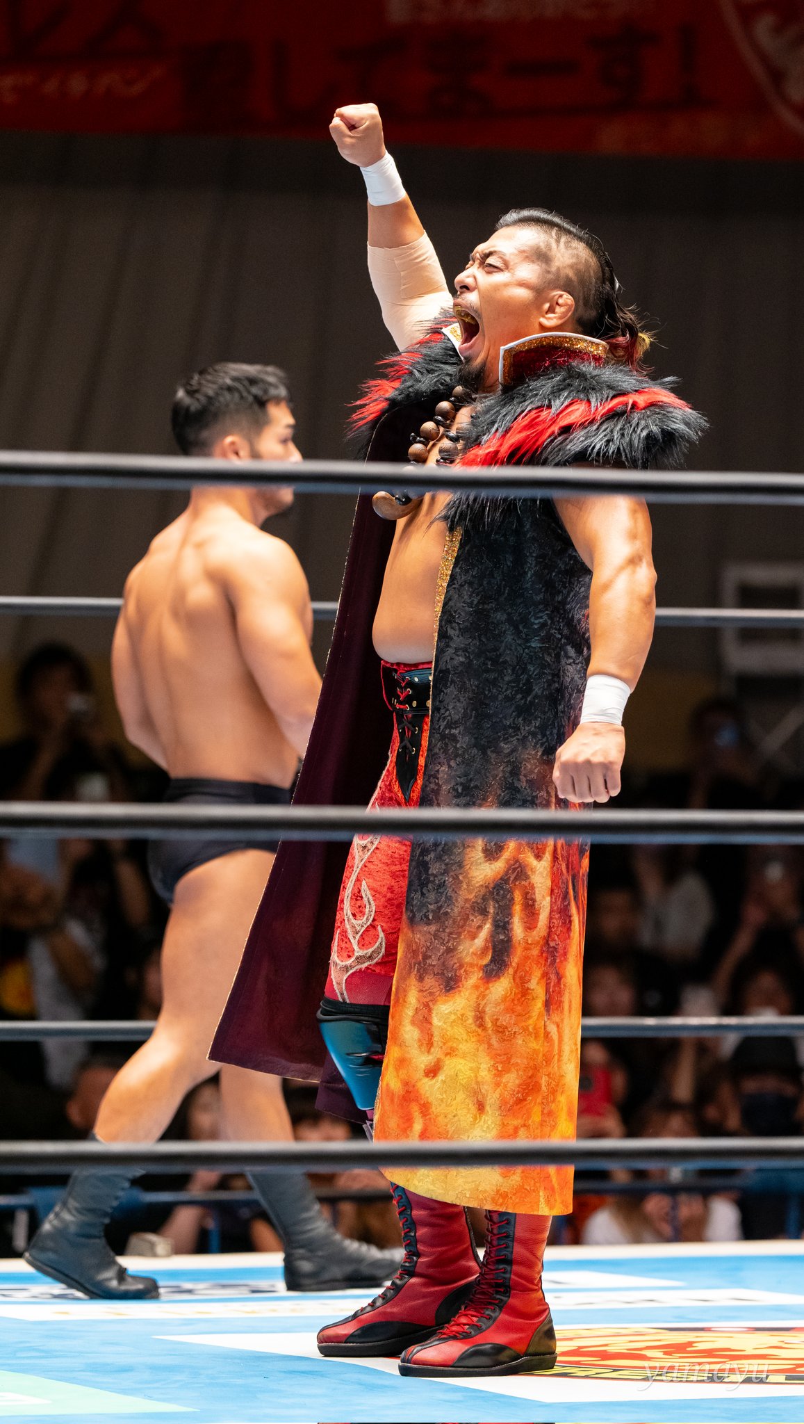 やまゆ🦜🪽 on X: 