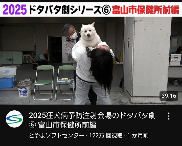 dontbetrue's tweet photo. 犬人間が頭を握ってるのかと思った。 https://t.co/1CF4h4MHDi