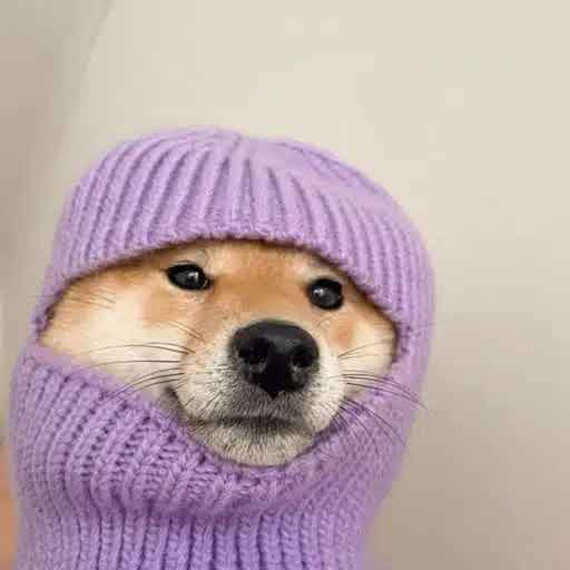 Bluechip Sora tweet media