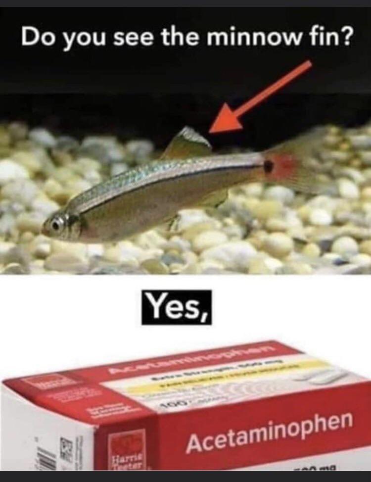 TimKreisel's tweet image. 