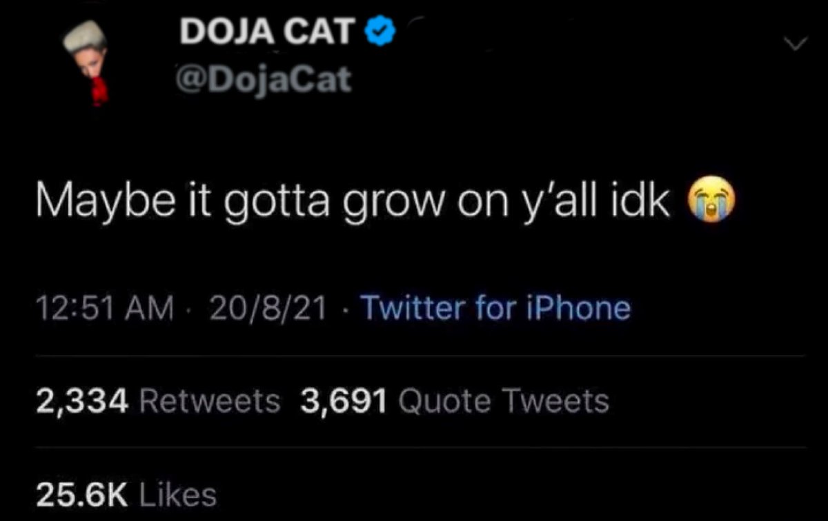 explaindojacat's tweet image. 