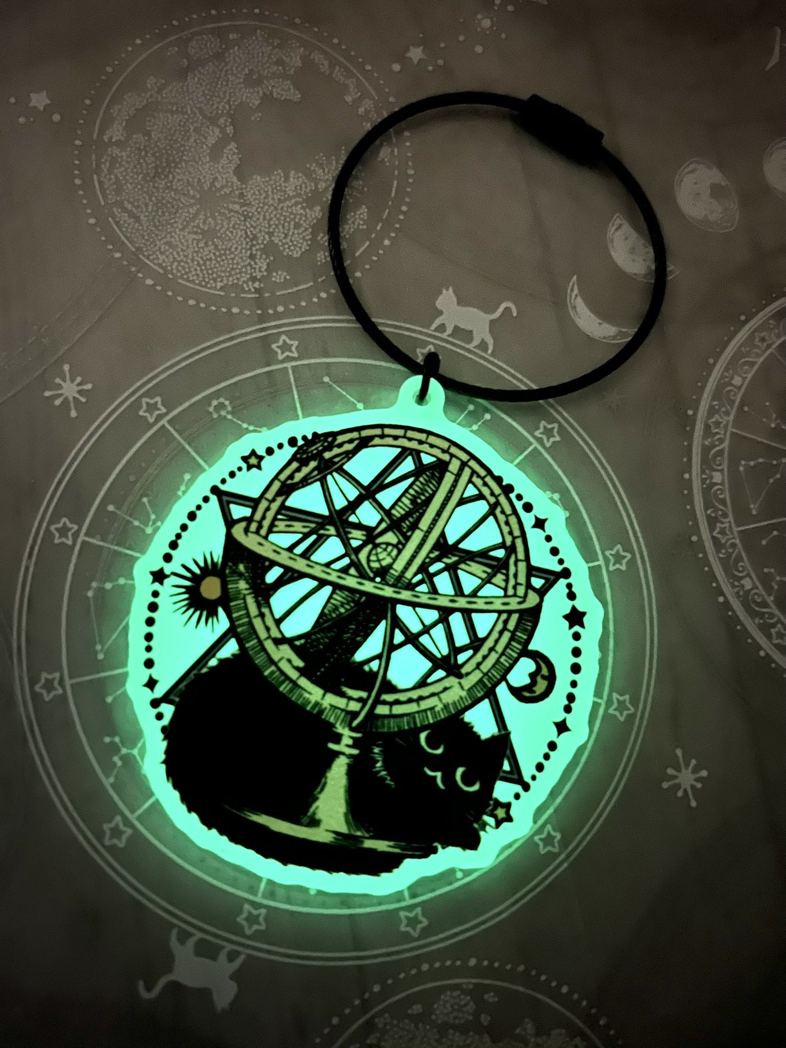 和泉智大@11/2セレクトマーケットin 4プラ (@mikazukiizumi) / X