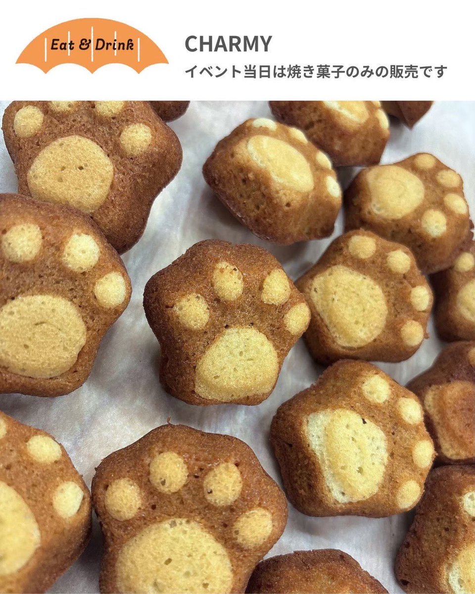 9/28（日）あそぶっく出店者紹介✨
CHARMY

ケーキと焼き菓子のお店CHARMY（チャーミィ）です。令和7年2月に寒川町でオープンしました。「見ても食べても癒される」をコンセプトにお作りしております。