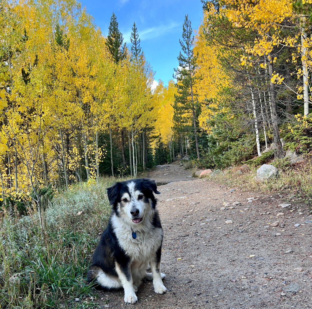 Katherine R tweet media