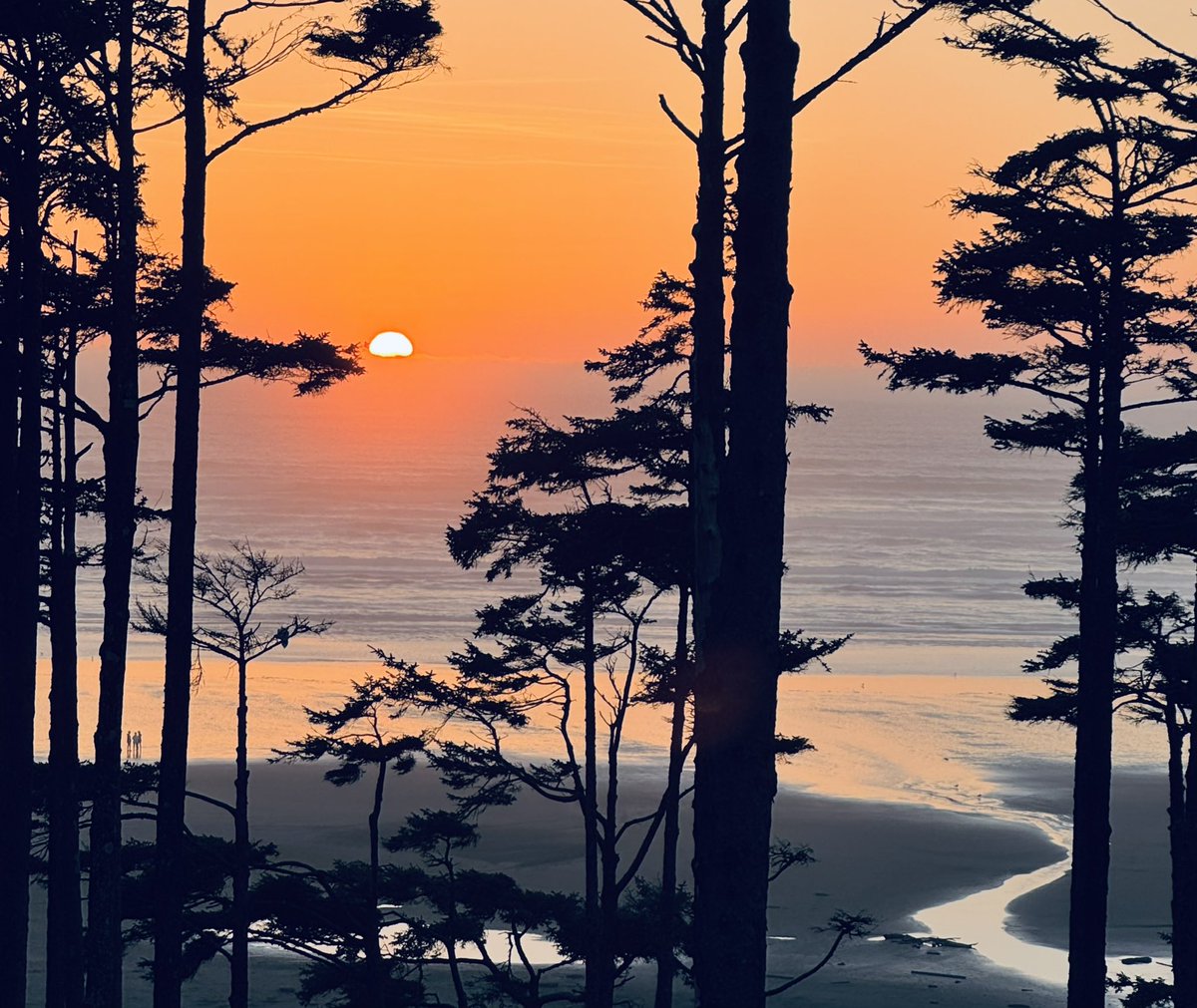 LindquistMark's tweet image. Meanwhile, another glorious sunset at @SeabrookWA.