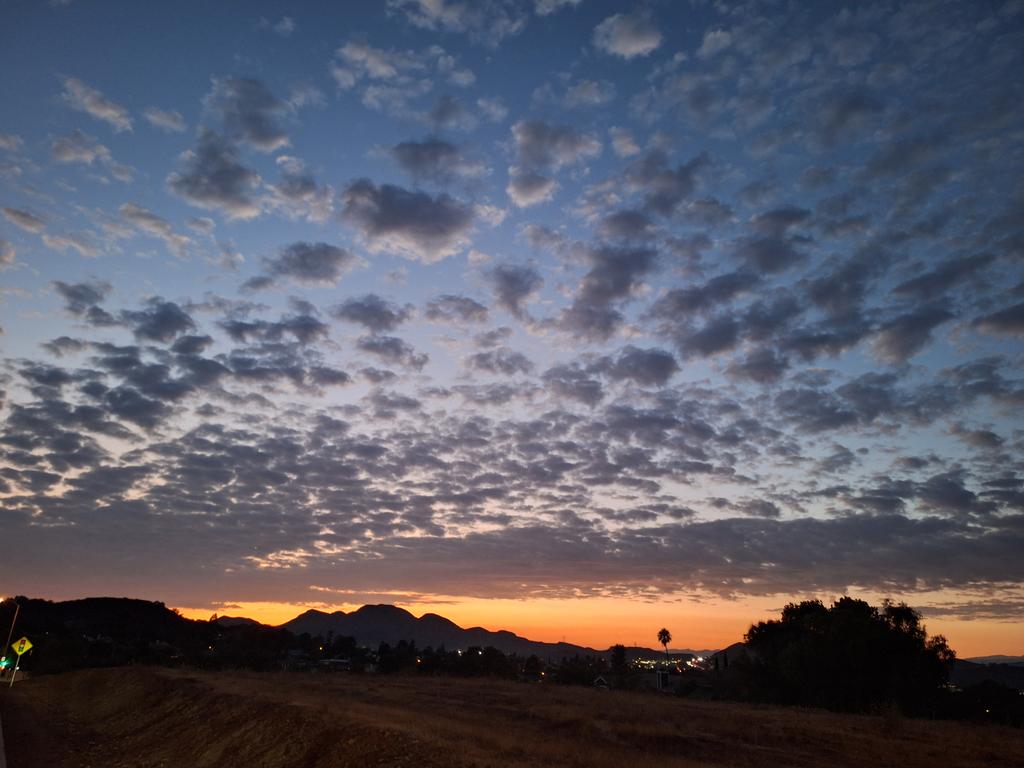 CLee71's tweet image. 