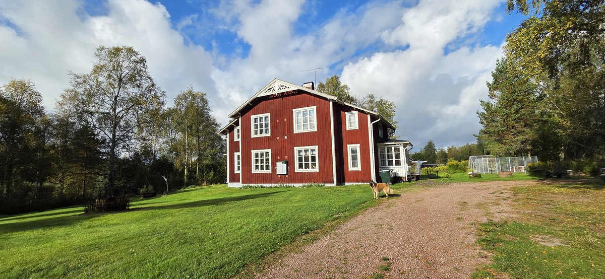 nancygordonruby's tweet photo. Weer 3 weken genoten van de rust en ruimte in Zweden! 🥰🥰🐾🐾 https://t.co/9GWSjcDclP