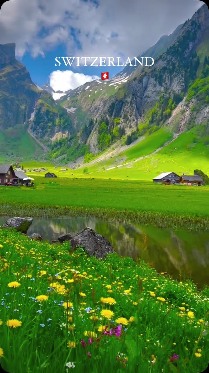 Views_of_Switzerland 🇨🇭 (@elizabeth172811) on Twitter photo 