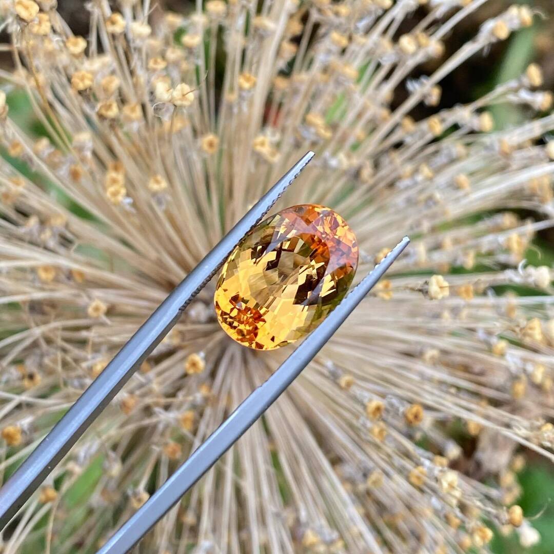 GFWilliamsCo's tweet photo. Topaz as a name was historically applied to any golden or yellow gemstone, often confusing it with gems like Citrine. 

One theory behind Topaz name is it thought to come from the Greek name Topazos meaning to seek as the islands in the Red Sea where Top… https://t.co/2qiLUrKPKc https://t.co/tgpsyi0g6L