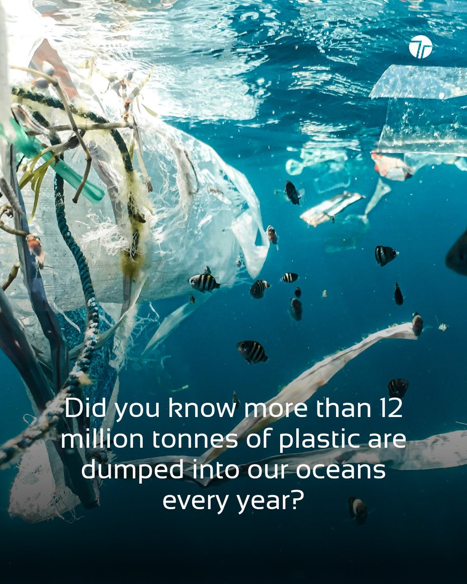 TechTeysha's tweet image. Plastic pollution is a global crisis.

That’s why Teysha Technologies exists, to offer revolutionary nature-derived polymers that are organic and fully biodegradable.

We&apos;re designing for a future free from plastic pollution, where materials work with nature, not against it.