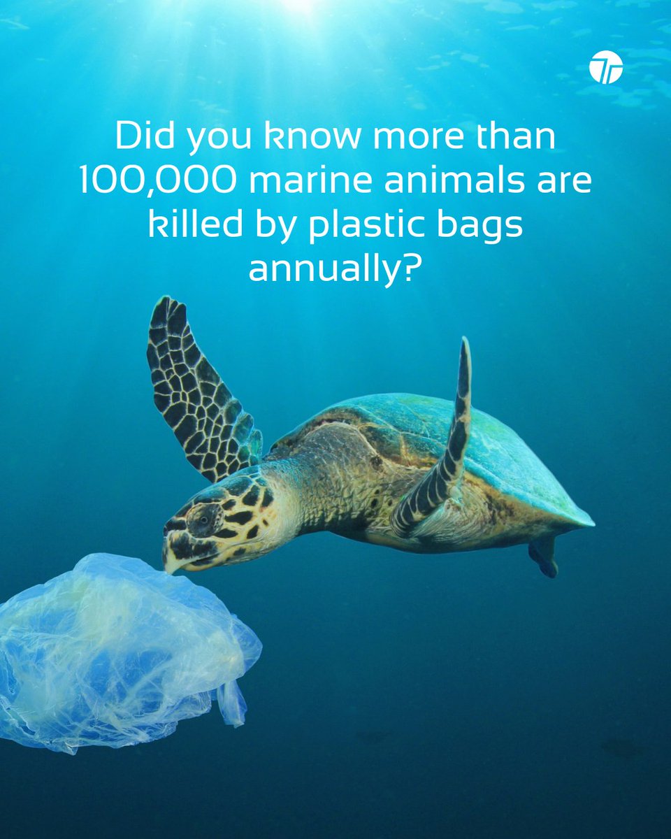 TechTeysha's tweet image. Plastic pollution is a global crisis.

That’s why Teysha Technologies exists, to offer revolutionary nature-derived polymers that are organic and fully biodegradable.

We&apos;re designing for a future free from plastic pollution, where materials work with nature, not against it.