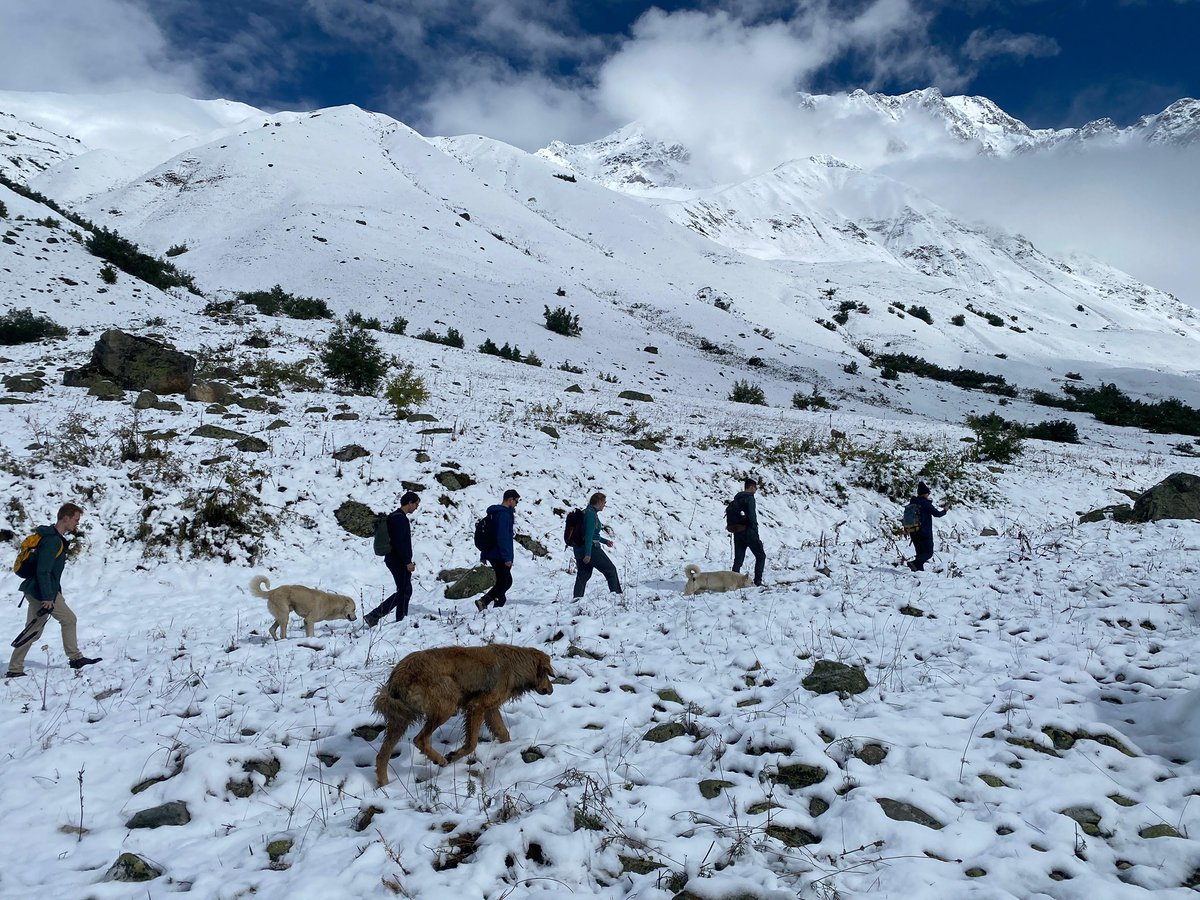 Our guests enjoyed trekking in Svaneti and were lucky to witness the very first snow of the season ❄️🗻