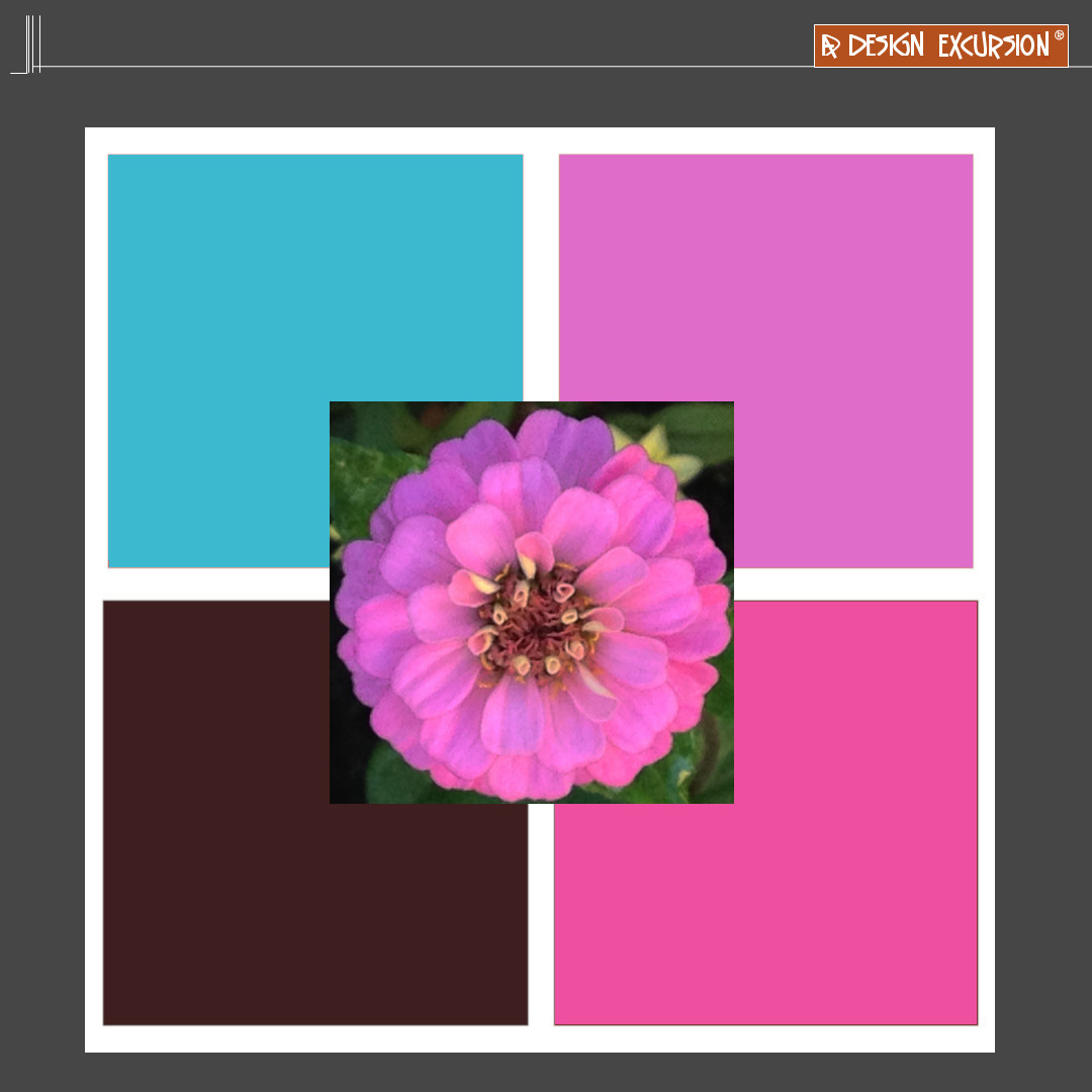 designexcursion's tweet image. add a pop of aqua to red purple

#redpurple #magenta #fushia #hotpink #design #inspo #adesignexcursion #moodboard