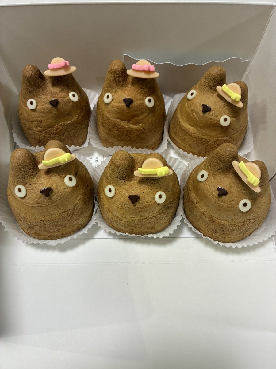 totoro様♡ありがとうございます♡ Tonari No Totoro Chiisana Obake Music Box Piano Lullaby A