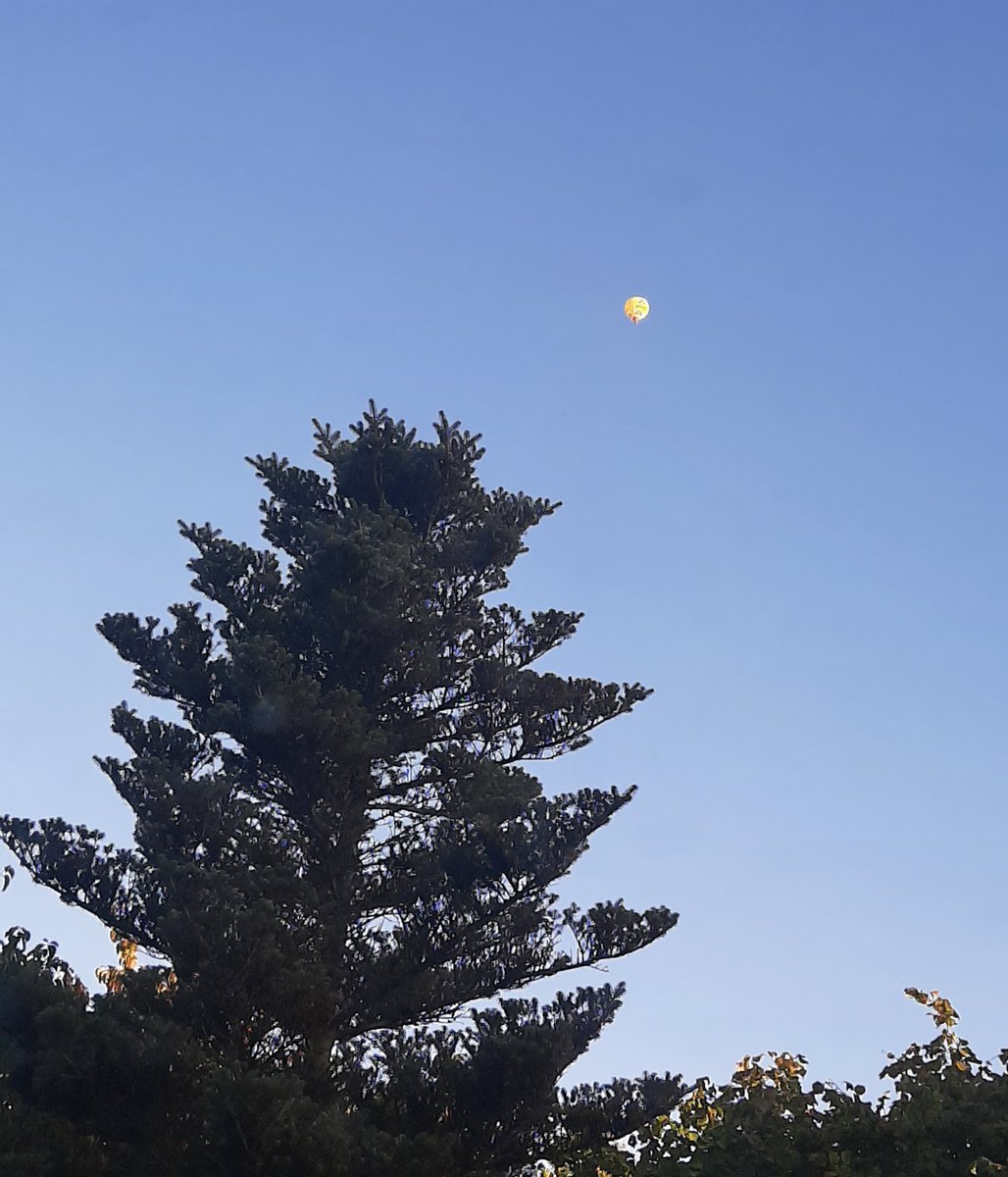 Ein Luftballon heute bei uns in Wolfenbüttel ☘