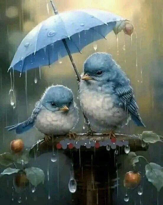 💦‌أدوية الحياة ليست دائما مرة💦

فهناك أدوية حلوة تأتي عبر والدين يشعران أبناءهم بالأمان

أو صديق مخلص تجده حولك يمسح على جرح الزمان

أو قلب محبٍ صادق يحتويك ويمنحك الاهتمام

كونوا لمن حولكم أدوية حلوة يتناولونها برضى نفس وطيب خاطر كي يتجاوزوا أزماتهم بسرعة في هذه الحياة .